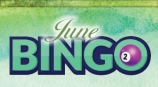 Best Bingo Promotions 65682