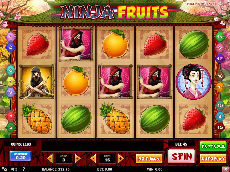 Ninja Fruits 15992