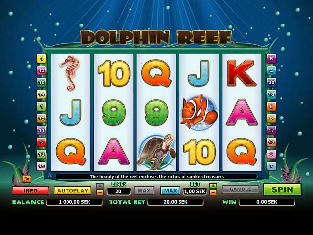 Dolphin Reef 74203
