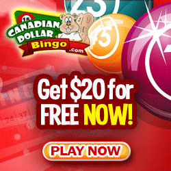Free Spins Wagering 93849