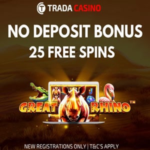 Free Spins 96136