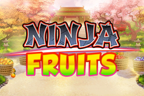Ninja Fruits Slot 10773